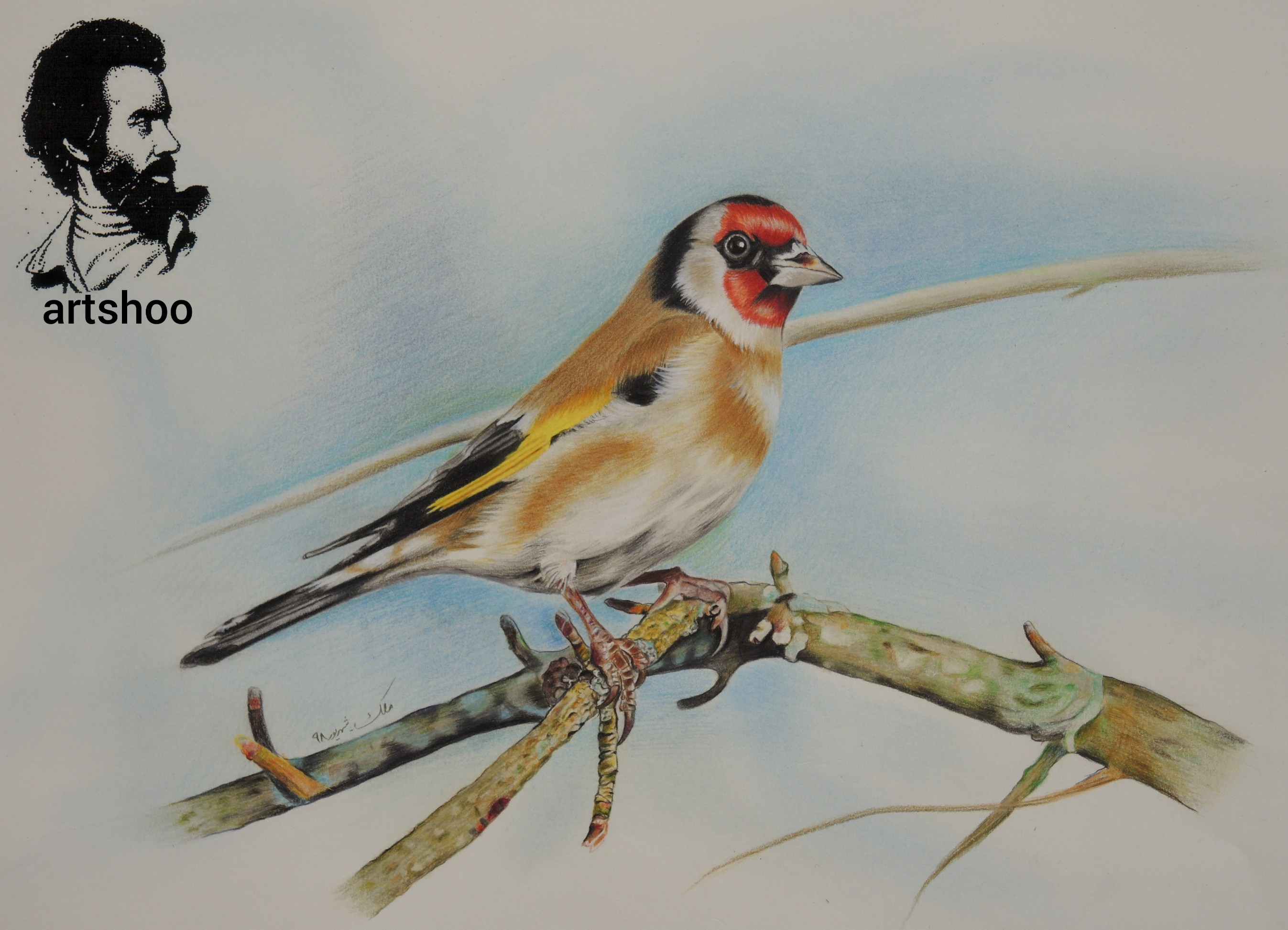 نقاشی مدادرنگی